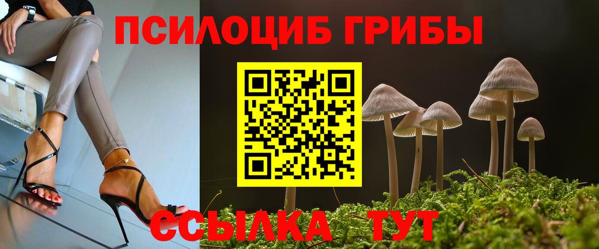 Галлюциногенные грибы Cubensis Магнитогорск