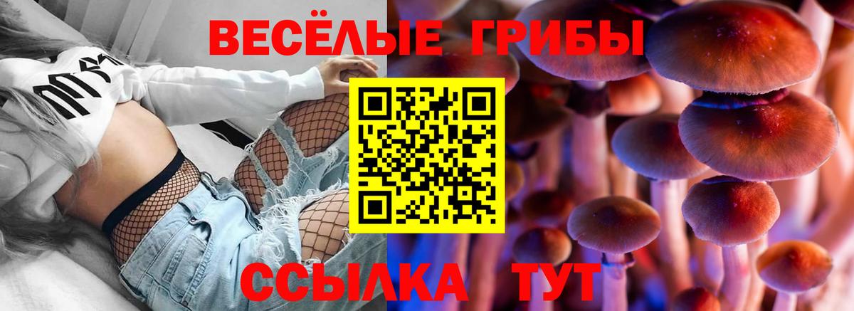 Магнитогорск  сколько стоит  Вход с VPN  Псилоцибиновые грибы MAGIC MUSHROOMS  Галлюциногенные грибы Cubensis 